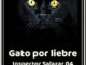 foto portada libro gato por liebre en revista literaria galeradas